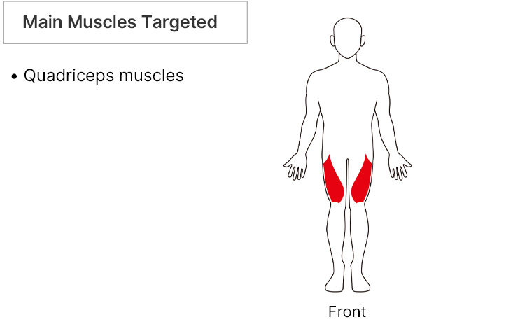 Main Muscles Targeted