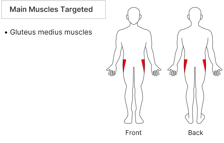 Main Muscles Targeted